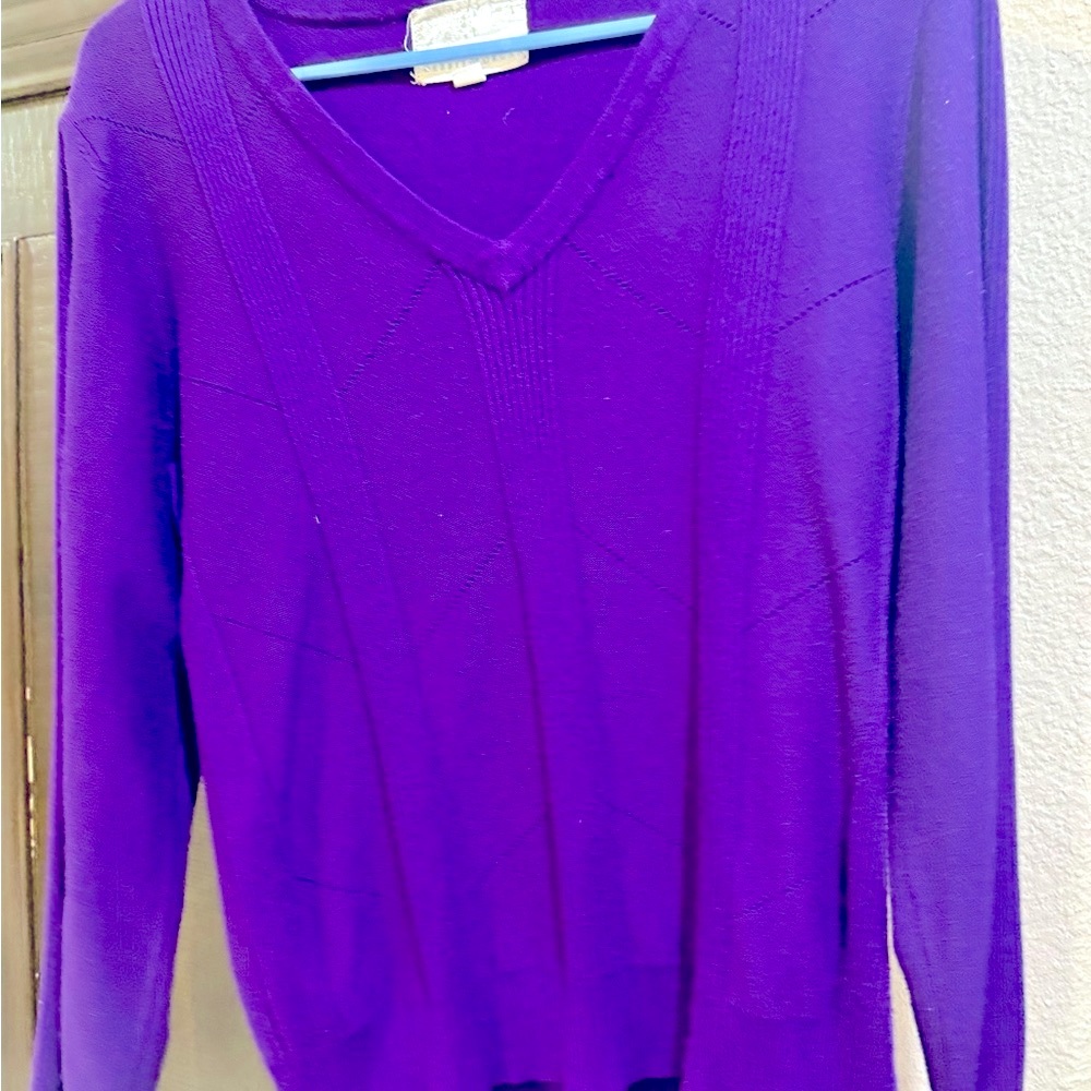 Debbie Morgan V-Neck Sweater in Rich Purple